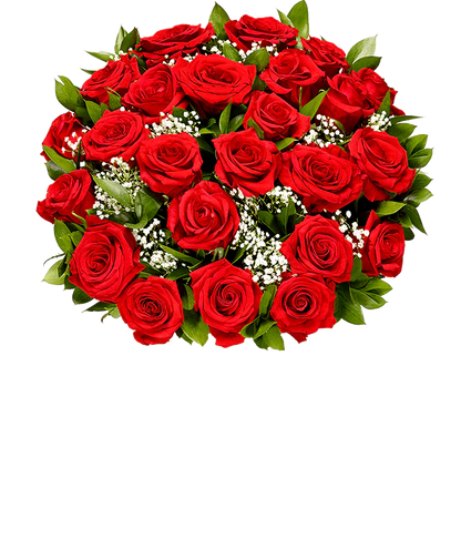 Valentine Rose Bundle