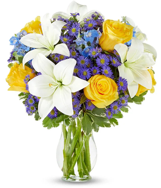 Blue Skies & Sunshine