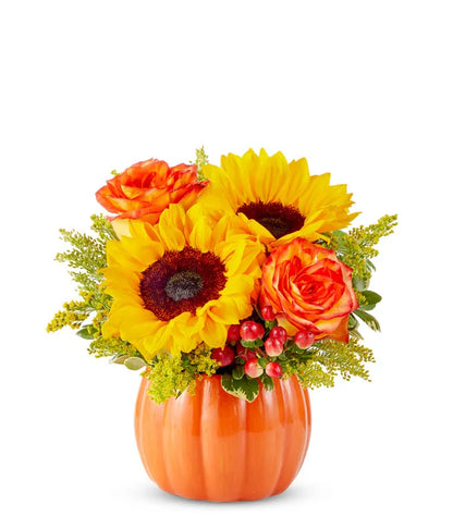 Sunny Fall Pumpkin