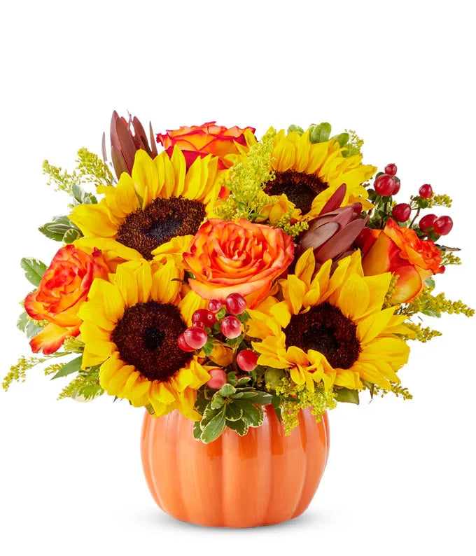 Sunny Fall Pumpkin